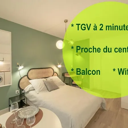 Apparthotel-gare-chambery Apartment